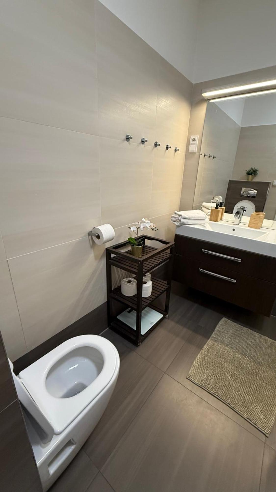 Luxury Modern Designed Oldtown Apartment 布拉格 外观 照片